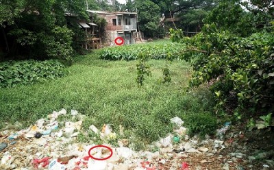 মিরকাদিমে দখল আর দূষণে বিলুপ্তির পথে ইছামতি খাল, উচ্ছেদ অভিযানের দাবী এলাকাবাসীর